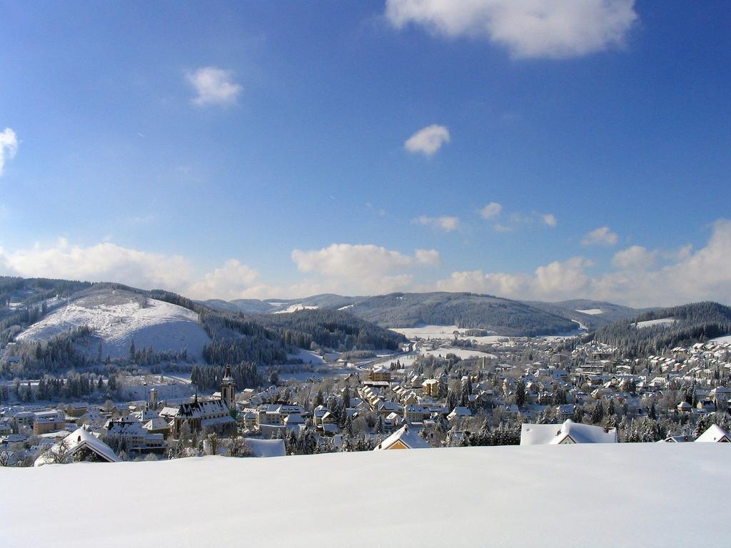 Ferienwohnung Am Eisweiher Titisee-Neustadt Ngoại thất bức ảnh