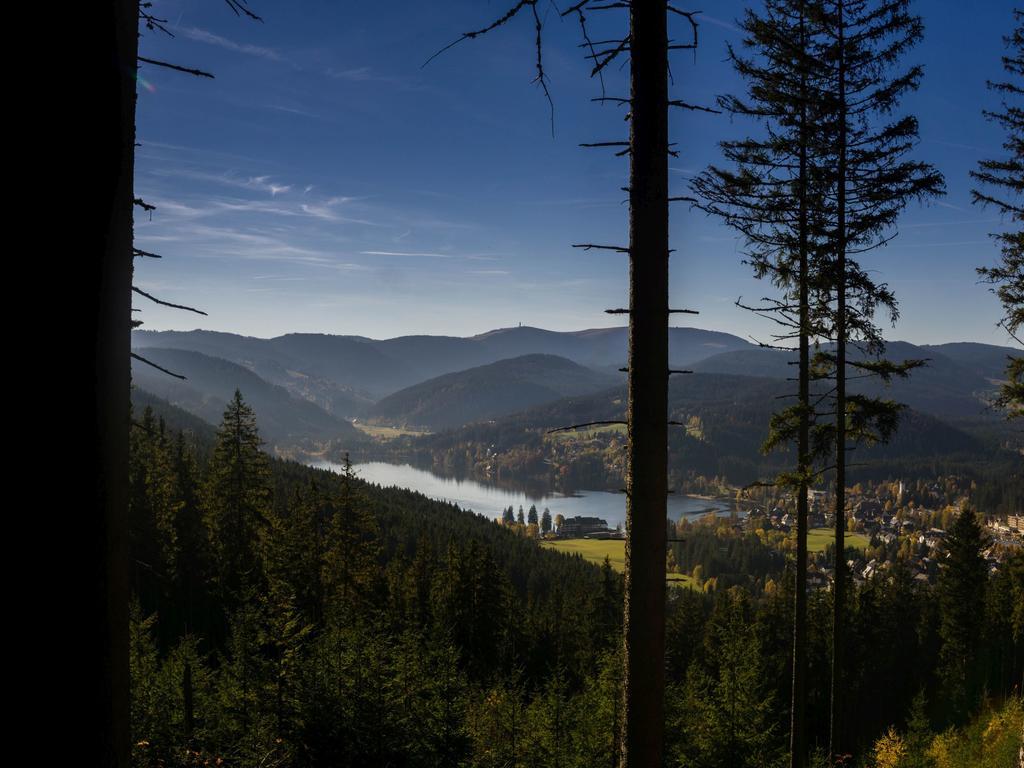 Ferienwohnung Am Eisweiher Titisee-Neustadt Ngoại thất bức ảnh