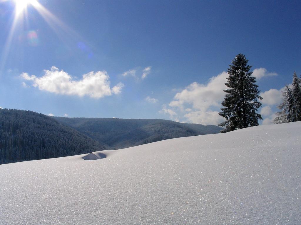 Ferienwohnung Am Eisweiher Titisee-Neustadt Ngoại thất bức ảnh